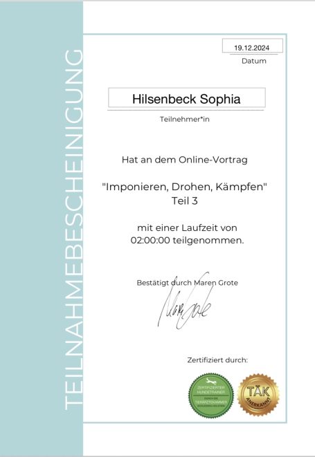 Teilnahmebestätigung Zertifikat für die Teilnahme an einem Online-Vortrag mit Namen und Datum.