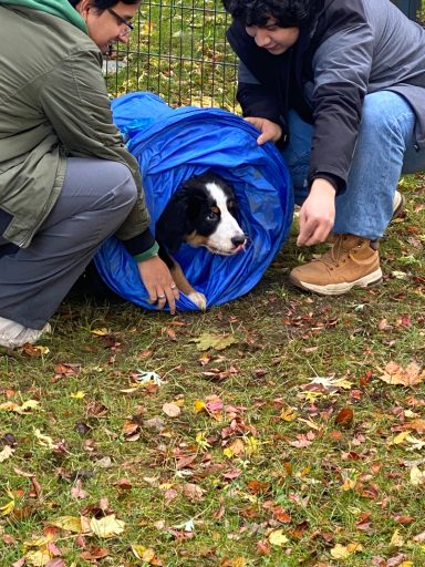 Zwei Personen helfen einem Hund, der in einer blauen Decke eingewickelt ist.