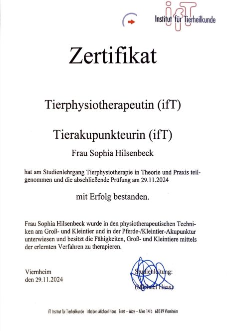 Zertifikat über die erfolgreiche Teilnahme an Fortbildung in Tierphysiotherapie.