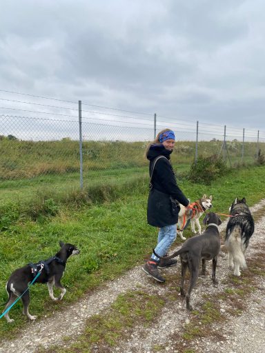 Frau im schwarzen Mantel spaziert mit mehreren Hunden entlang eines Weges.