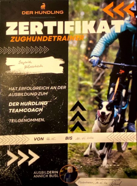 Zertifikat für das Zughundetraining, Informationen über Ziele und Kontakt.