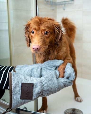 Braunhaariger Hund steht in einer Dusche und wird von einer Hand mit einem Handtuch gehalten.