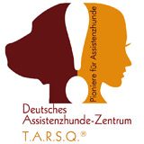 Frau im orangefarbenen Mantel spielt mit zwei Hunden auf einer grünen Wiese.