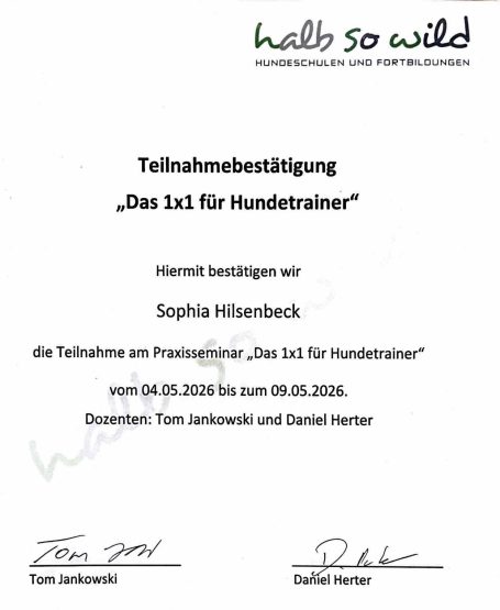 Teilnahmebestätigung Teilnahmebestätigung