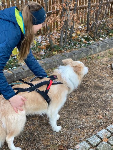 Eine Frau mit langem Haar streichelt einen Hund in einem Geschirr im Freien.