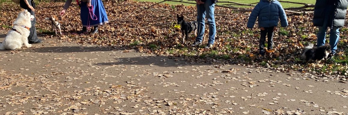 Familie und Hunde gehen auf einem mit Blättern bedeckten Weg im Freien.