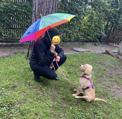 Person mit Regenschirm kniet im Gras, neben einem Hund, der aufmerksam schaut.
