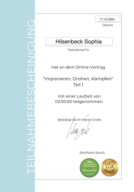 Teilnahmebestätigung Zertifikat für den erfolgreichen Abschluss eines Online-Kurses über Konfliktmanagement.