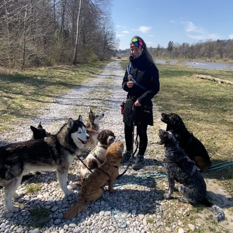 Hundeschule und Hundetraining München Person mit mehreren Hunden auf einem Kiesweg neben einem Gewässer.