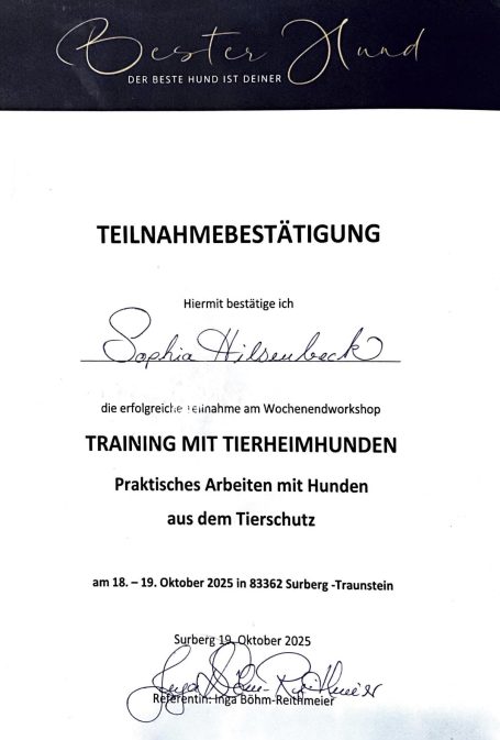 Teilnahmebestätigung Teilnahmebestätigung für ein Training mit Therapiehunden, datiert 25. Oktober 2023.